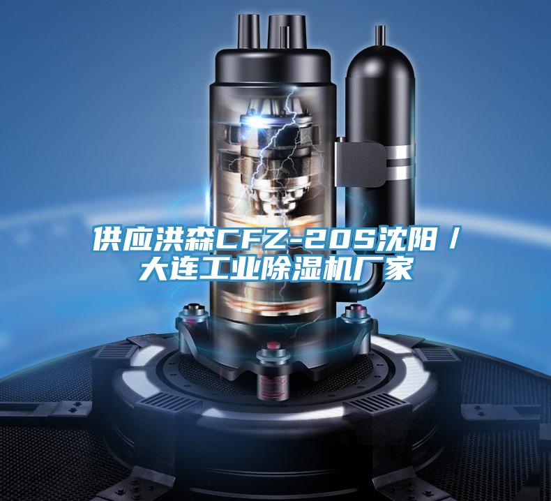供應(yīng)洪森CFZ-20S沈陽(yáng)/大連工業(yè)除濕機(jī)廠家