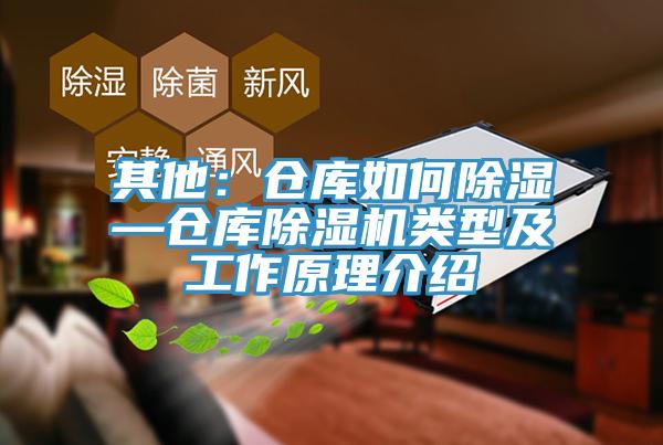 其他:倉庫如何除濕—倉庫除濕機類型及工作原理介紹