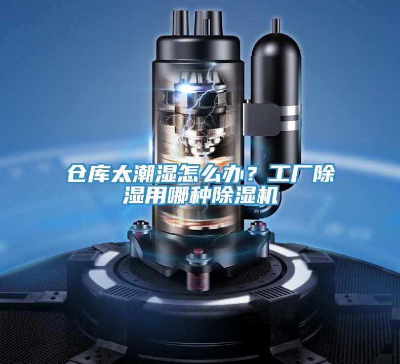 倉庫太潮濕怎么辦?工廠除濕用哪種除濕機