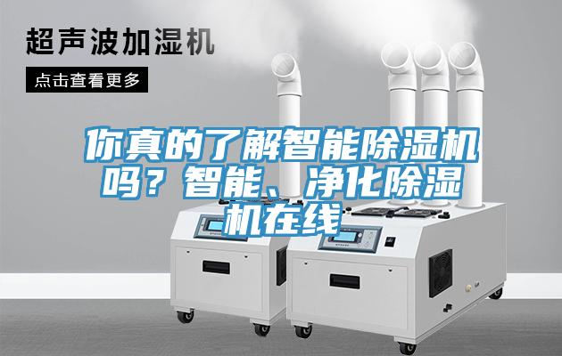 你真的了解智能除濕機(jī)嗎？智能、凈化除濕機(jī)在線(xiàn)