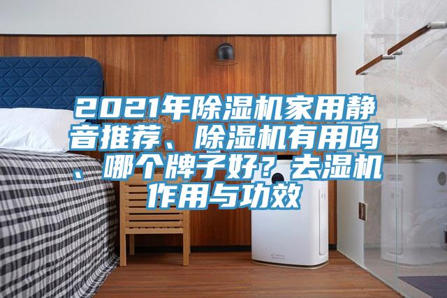 2021年除濕機家用靜音推薦、除濕機有用嗎、哪個牌子好?去濕機作用與功效
