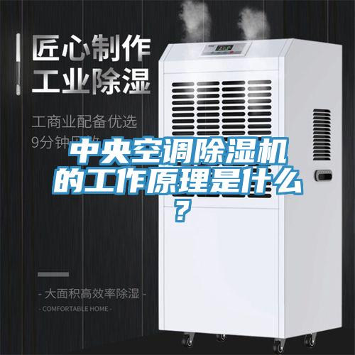 中央空調除濕機的工作原理是什么?