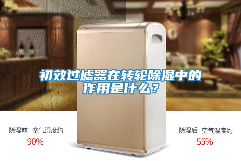 初效過濾器在轉(zhuǎn)輪除濕中的作用是什么?