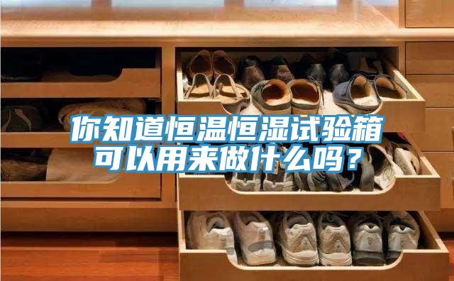 你知道恒溫恒濕試驗箱可以用來做什么嗎?