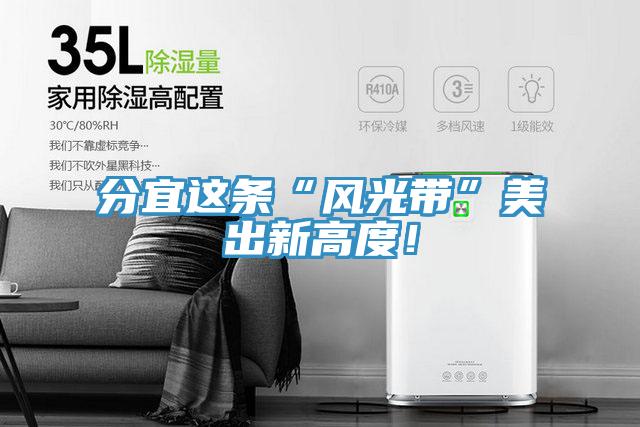 分宜這條“風(fēng)光帶”美出新高度!