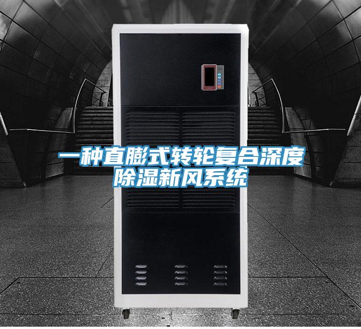 一種直膨式轉(zhuǎn)輪復合深度除濕新風系統(tǒng)