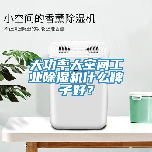 大功率大空間工業(yè)除濕機什么牌子好?