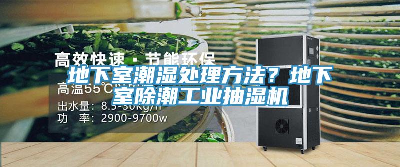 地下室潮濕處理方法?地下室除潮工業(yè)抽濕機