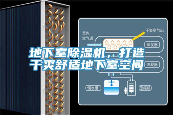 地下室除濕機,打造干爽舒適地下室空間