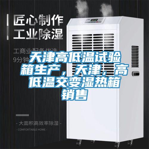 天津高低溫試驗箱生產(chǎn)，天津，高低溫交變濕熱箱銷售