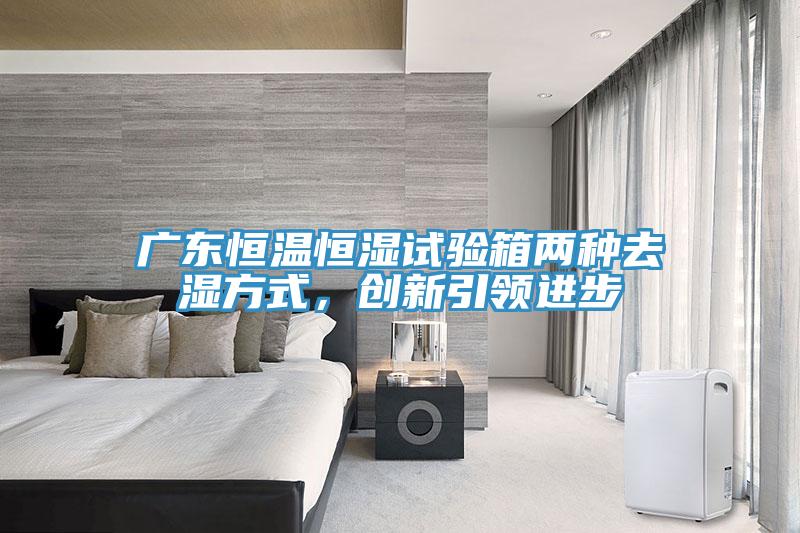 廣東恒溫恒濕試驗箱兩種去濕方式,創新引領進步
