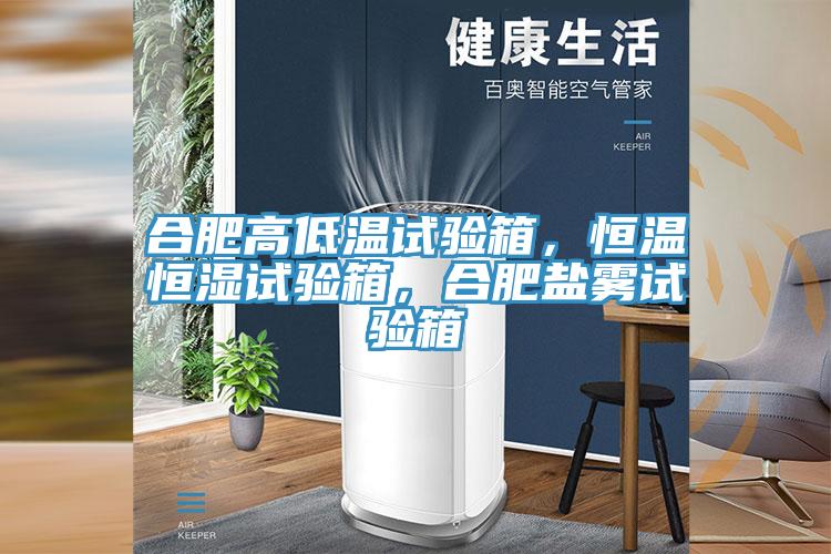 合肥高低溫試驗(yàn)箱,恒溫恒濕試驗(yàn)箱,合肥鹽霧試驗(yàn)箱