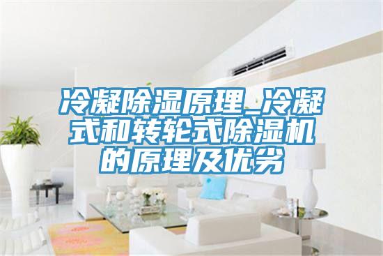 冷凝除濕原理_冷凝式和轉輪式除濕機的原理及優(yōu)劣