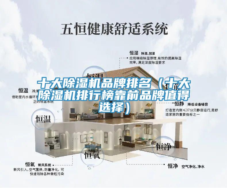 十大除濕機品牌排名(十大除濕機排行榜靠前品牌值得選擇)
