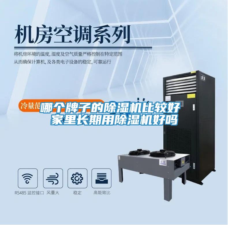 哪個牌子的除濕機(jī)比較好 家里長期用除濕機(jī)好嗎