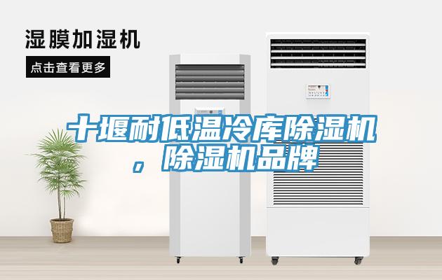 十堰耐低溫冷庫除濕機，除濕機品牌