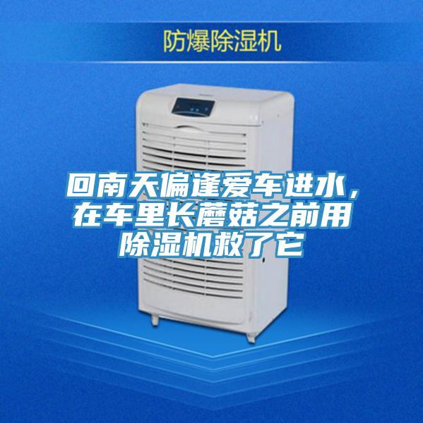 回南天偏逢愛車進水,在車里長蘑菇之前用除濕機救了它