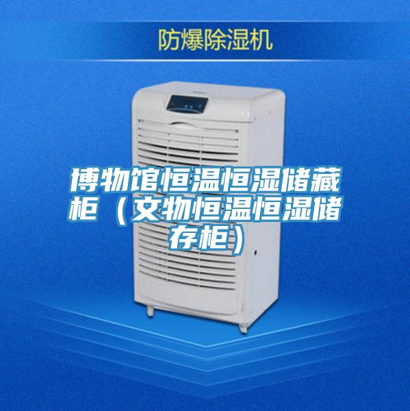 博物館恒溫恒濕儲藏柜(文物恒溫恒濕儲存柜)