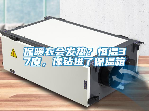 保暖衣會發熱?恒溫37度,像鉆進了保溫箱