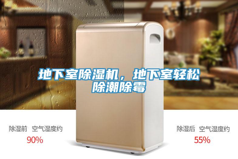 地下室除濕機,地下室輕松除潮除霉