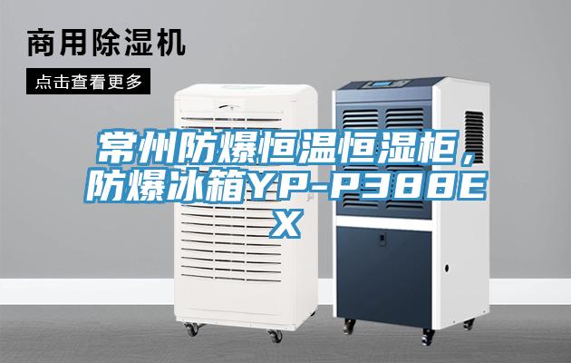 常州防爆恒溫恒濕柜，防爆冰箱YP-P388EX