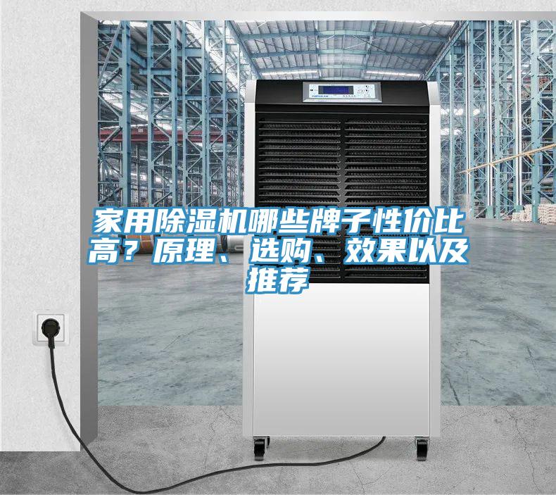 家用除濕機(jī)哪些牌子性價(jià)比高?原理、選購、效果以及推薦