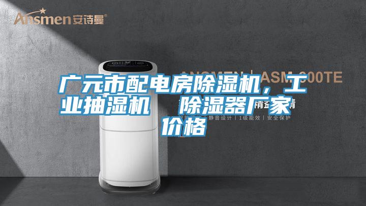 廣元市配電房除濕機,工業抽濕機 除濕器廠家 價格