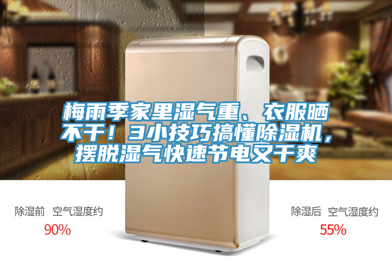 梅雨季家里濕氣重、衣服曬不干!3小技巧搞懂除濕機,擺脫濕氣快速節(jié)電又干爽