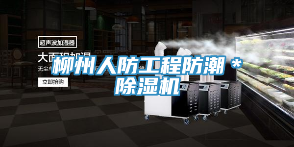 柳州人防工程防潮*除濕機