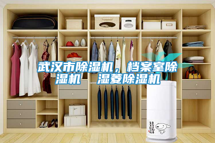 武漢市除濕機，檔案室除濕機  濕菱除濕機