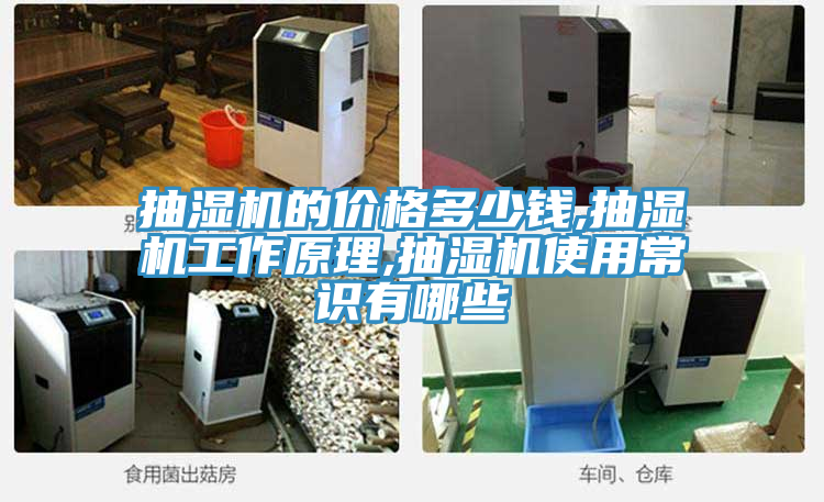抽濕機的價格多少錢,抽濕機工作原理,抽濕機使用常識有哪些