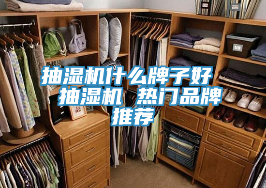 抽濕機(jī)什么牌子好 抽濕機(jī) 熱門品牌推薦