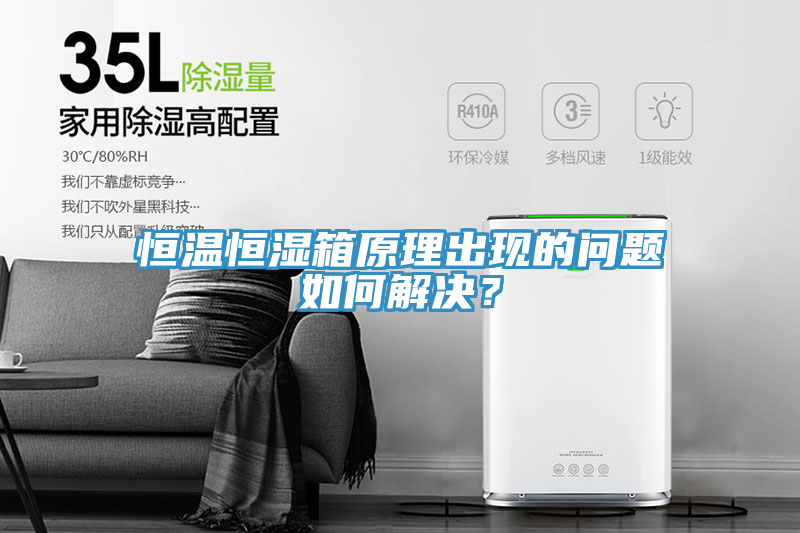 恒溫恒濕箱原理出現的問題如何解決?