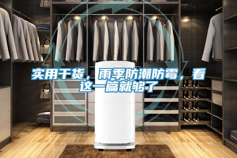實用干貨，雨季防潮防霉，看這一篇就夠了