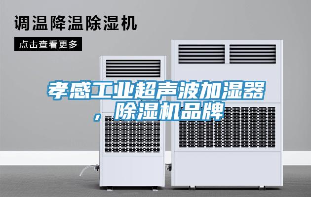 孝感工業超聲波加濕器,除濕機品牌