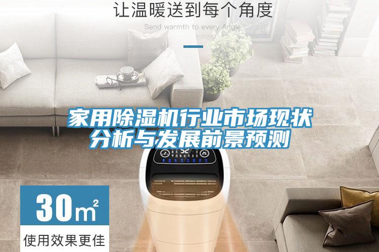 家用除濕機(jī)行業(yè)市場(chǎng)現(xiàn)狀分析與發(fā)展前景預(yù)測(cè)