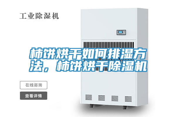 柿餅烘干如何排濕方法,柿餅烘干除濕機