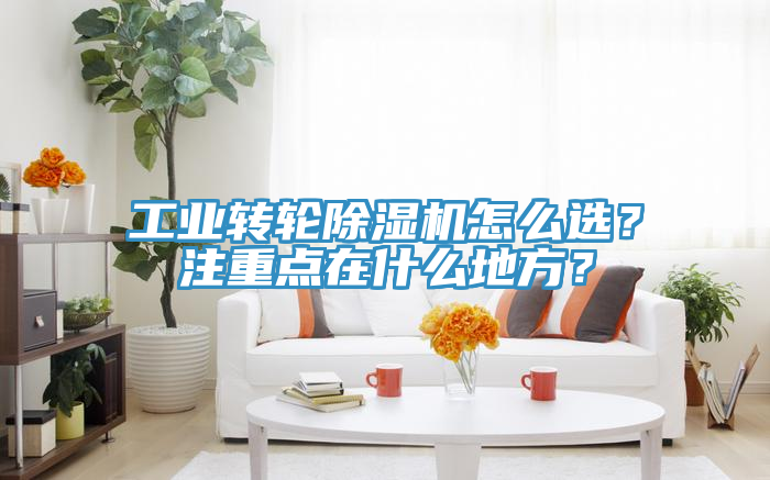 工業轉輪除濕機怎么選?注重點在什么地方?