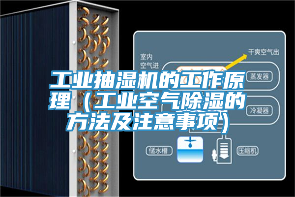 工業(yè)抽濕機(jī)的工作原理(工業(yè)空氣除濕的方法及注意事項)
