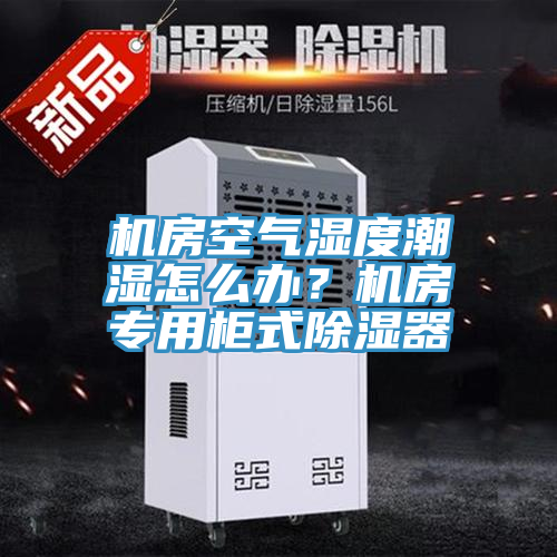 機房空氣濕度潮濕怎么辦?機房專用柜式除濕器