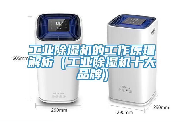 工業除濕機的工作原理解析(工業除濕機十大品牌)