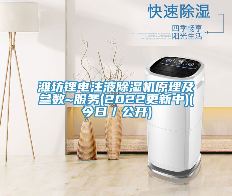 濰坊鋰電注液除濕機原理及參數~服務(2022更新中)(今日/公開)