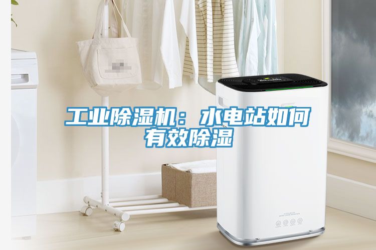 工業(yè)除濕機(jī):水電站如何有效除濕