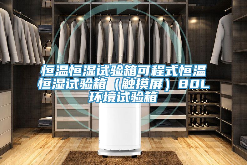 恒溫恒濕試驗(yàn)箱可程式恒溫恒濕試驗(yàn)箱(觸摸屏)80L環(huán)境試驗(yàn)箱