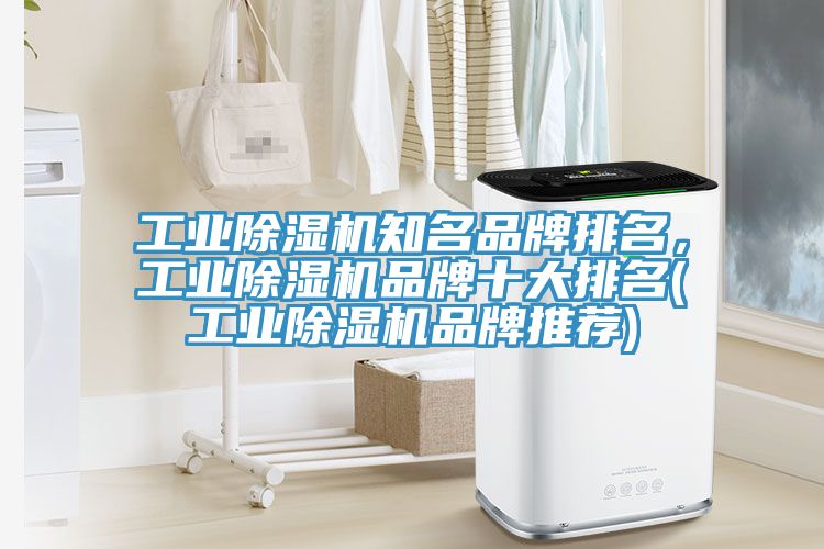 工業除濕機知名品牌排名，工業除濕機品牌十大排名(工業除濕機品牌推薦)