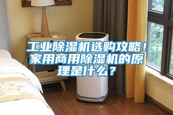 工業除濕機選購攻略!家用商用除濕機的原理是什么?