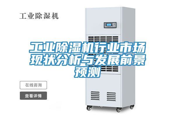 工業(yè)除濕機行業(yè)市場現(xiàn)狀分析與發(fā)展前景預測