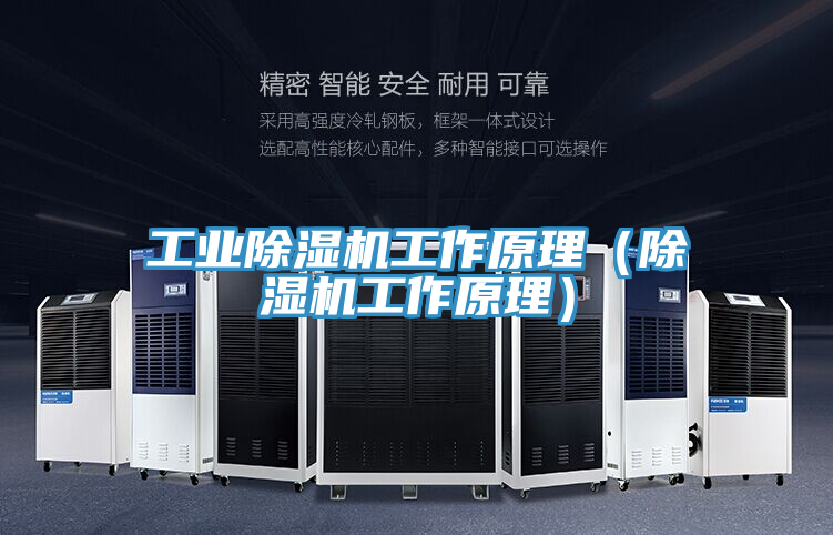 工業除濕機工作原理(除濕機工作原理)