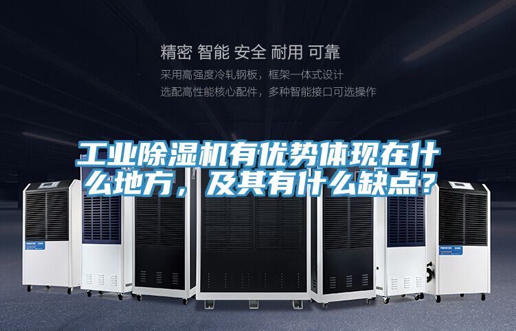 工業(yè)除濕機(jī)有優(yōu)勢體現(xiàn)在什么地方，及其有什么缺點(diǎn)？