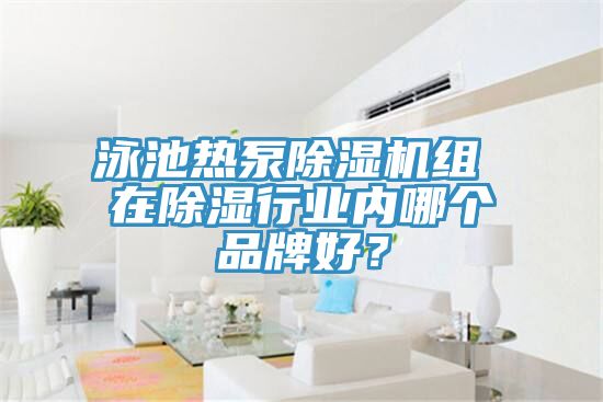 泳池熱泵除濕機組 在除濕行業(yè)內哪個品牌好?